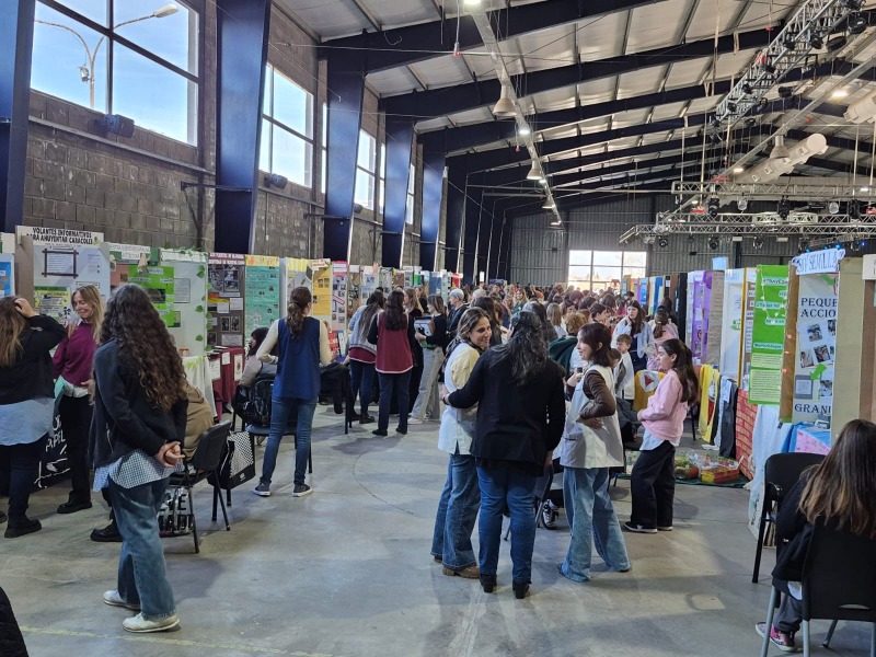 Donde el conocimiento y la creatividad se unen